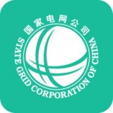 网上国网 v2.1.3