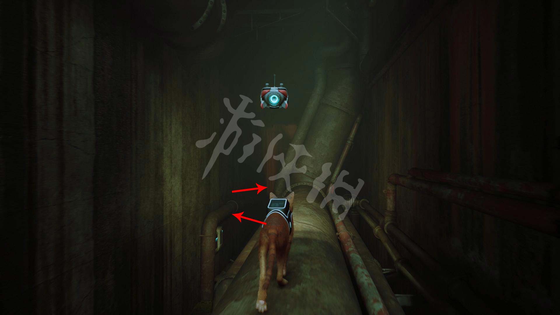 迷失stray攻略大全
