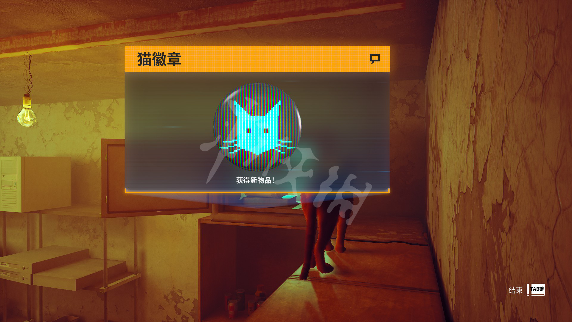 迷失stray攻略大全