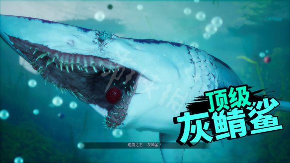 Maneater食人鲨图文流程攻略