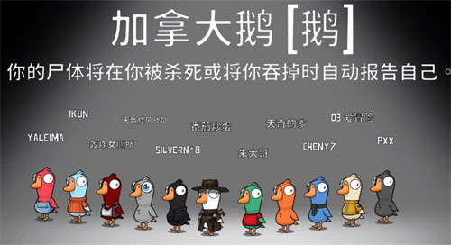 鹅鸭杀加拿大鹅有什么用