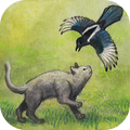 米洛回家之路 v0.7.2