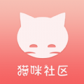 猫咪社区最新版 v1.1