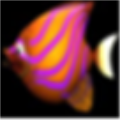 吞食鱼 V1.0