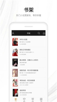 流行小说2022版