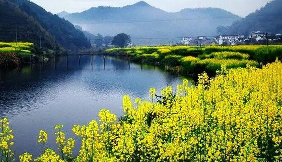 蚂蚁庄园3月10日：春天去江西旅游可能欣赏到哪种美景