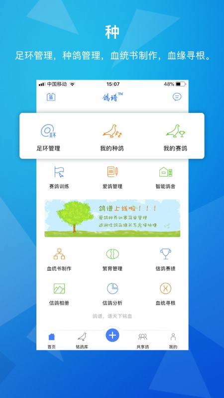 天下鸽谱