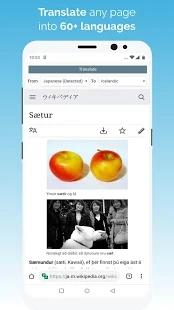 kiwi浏览器国际版 V98.0.4758.25