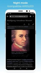 kiwi浏览器国际版 V98.0.4758.25