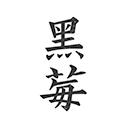 不要会员不收费的小说观看软件 所有小说全免费的小说app