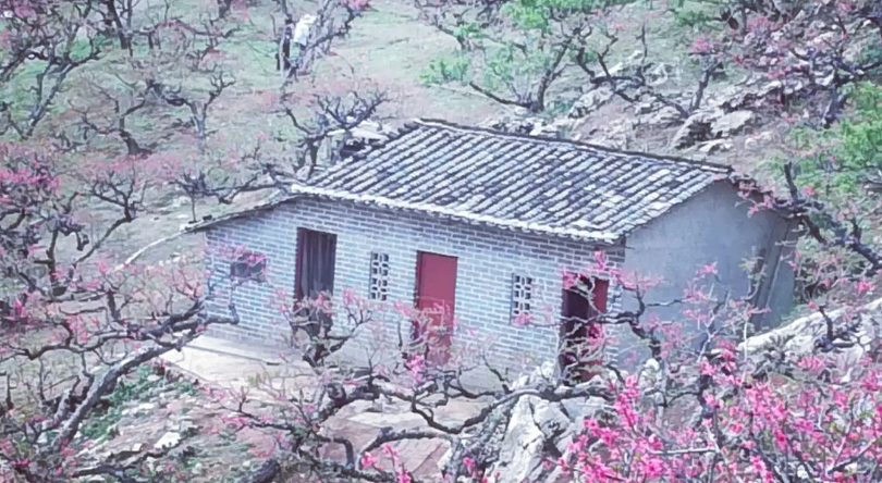 桃源深处有人家菜谱大全