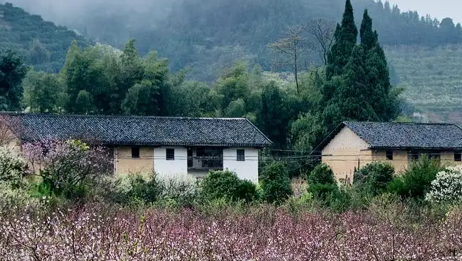 桃源深处有人家菜谱大全