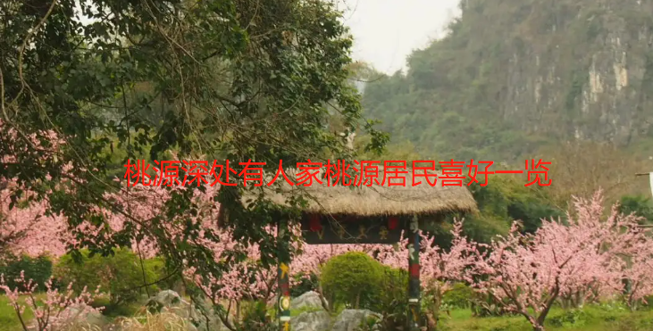 桃源深处有人家桃源居民喜好一览