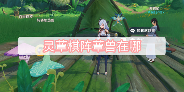 灵蕈棋阵蕈兽在哪