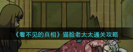 看不见的真相猫脸老太太攻略