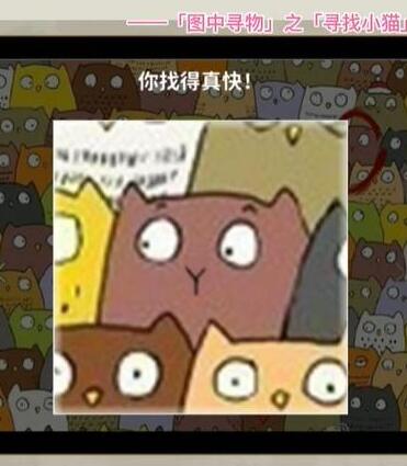 看不见的真相寻找小猫攻略