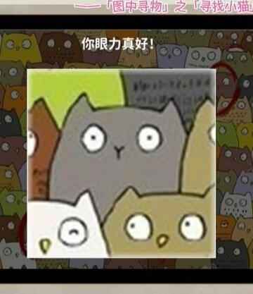 看不见的真相寻找小猫攻略