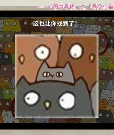 看不见的真相寻找小猫攻略