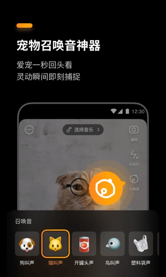 手机养宠物app软件哪个最好