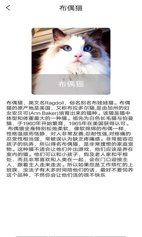 手机养宠物app软件哪个最好
