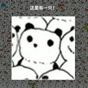 看不见的真相寻找熊猫攻略