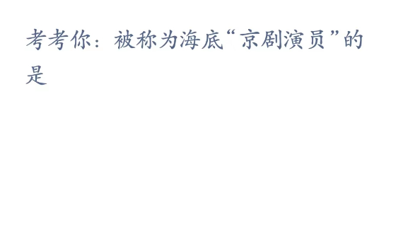 神奇海洋科普问答4月6日答案