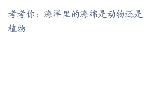 神奇海洋科普问答4月7日答案