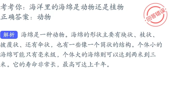 神奇海洋科普问答4月7日答案