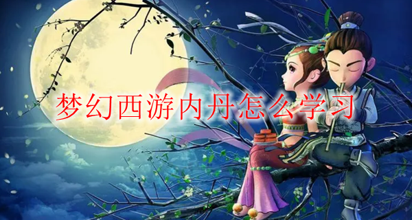 梦幻西游内丹怎么学习