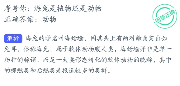 神奇海洋科普问答4月12日答案