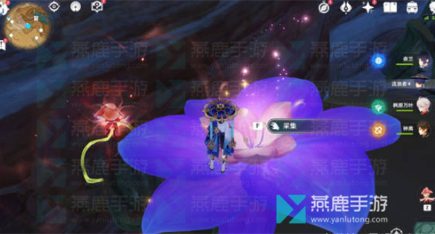 原神忧昙花采集方式介绍