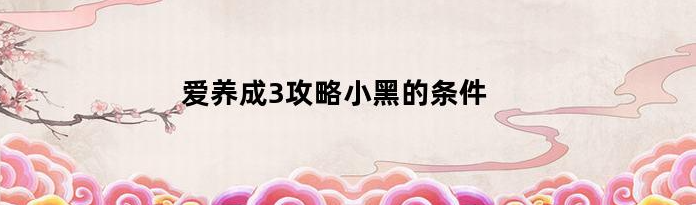 爱养成3如何攻略小黑  爱养成3攻略小黑条件一览