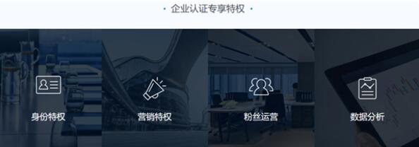 微博蓝V是什么意思