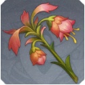 原神悼灵花图鉴