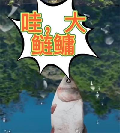 天天钓鱼如何钓鲢鳙  天天钓鱼鲢鳙钓取攻略