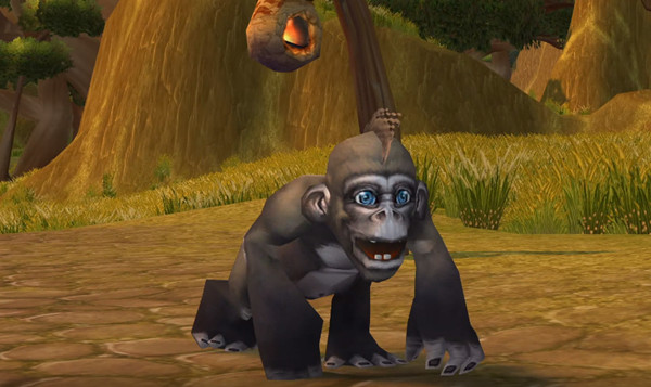 魔兽世界WOW慈善宠物蕉蕉和黛西获取活动详情[图]