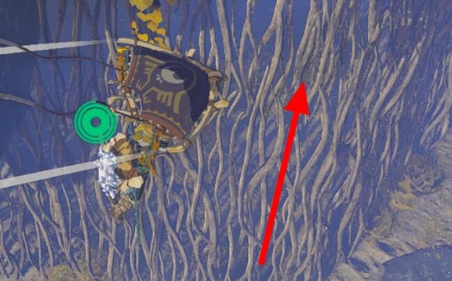 塔邦挞大雪原上空全神庙攻略
