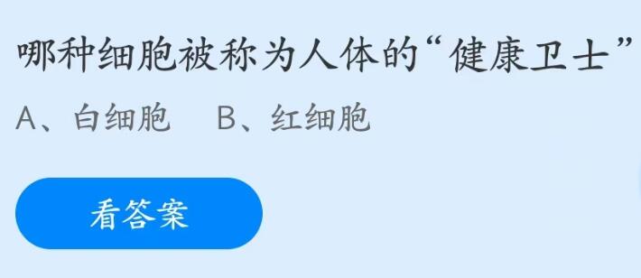 蚂蚁庄园5月17日：哪种细胞被称为人体的健康卫士
