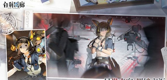 白荆回廊元素反应效果是什么 详细作用介绍