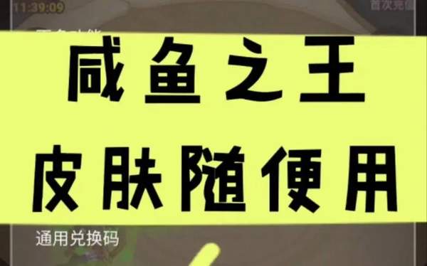 咸鱼之王皮肤永久有效激活码大全[图]