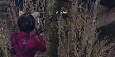 生化危机4重制版独角仙位置一览[图]