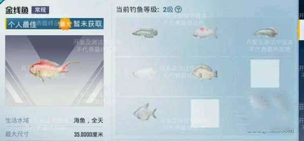 和平精英绿洲世界垂钓等级提升方法[图]