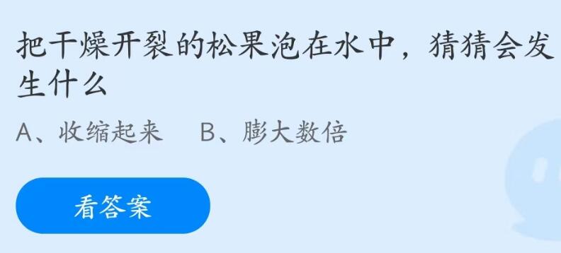 蚂蚁庄园2023年6月3日答案最新