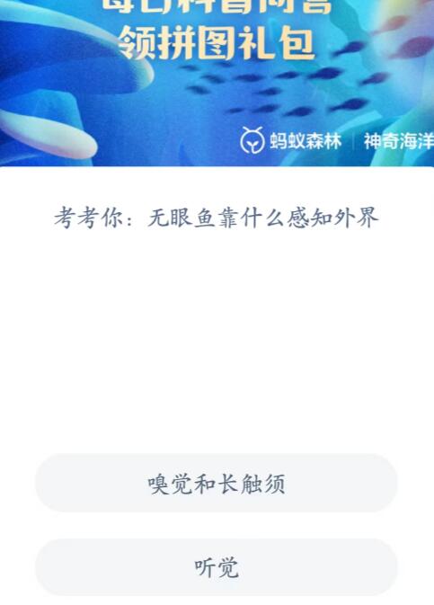 神奇海洋科普问答6月5日答案