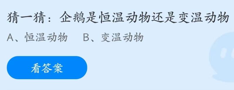 蚂蚁庄园6月8日：企鹅是恒温动物还是变温动物