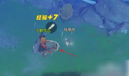 海岛纪元怎么获得陆龟肉 海岛纪元获得陆龟肉方法