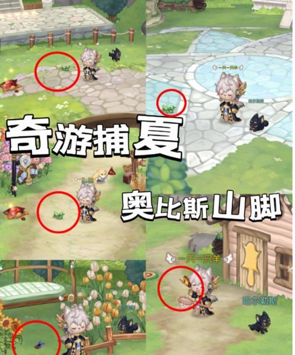 奥比岛手游奇游捕夏怎么玩 奇游捕夏捕捉位置大全一览