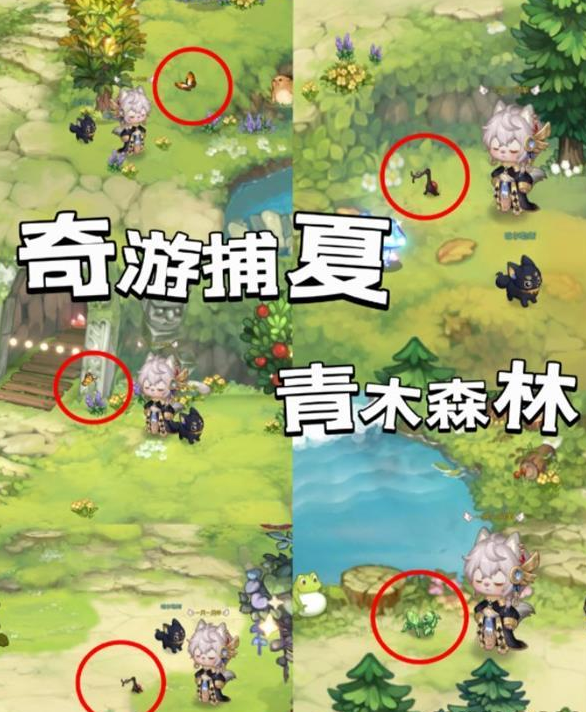 蛋仔派对流浪小象活动怎么玩 蛋仔派对流浪小象活动介绍
