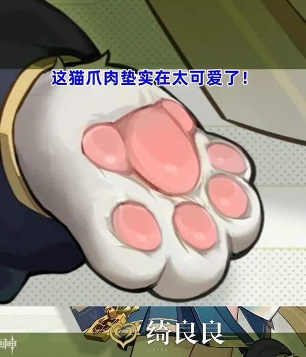 原神新角色绮良良介绍[图]