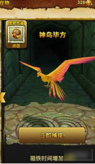 神庙逃亡如何抓神鸟  神庙逃亡抓神鸟攻略